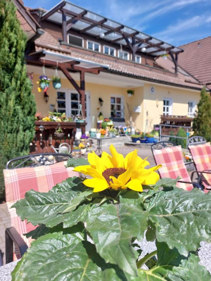 Hotel Zum Poppschen Gut Olbernhau Εξωτερικό φωτογραφία